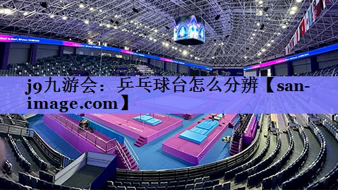 乒乓球台怎么分辨 乒乓球台怎么分辨